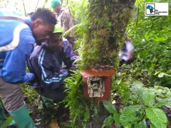 Field team members installing a camera trap on a moss-covered tree.