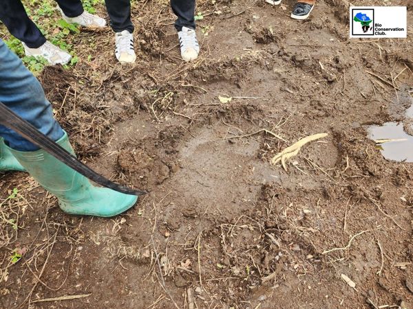 Field team members examining muddy ground during a survey.