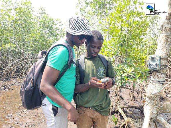 Two field team members checking equipment beside a camera trap mounted on a tree.