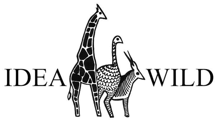 IDEA WILD logo